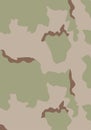 USA Desert Camouflage
