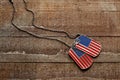 USA dog tags Royalty Free Stock Photo