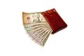 USA dollars Royalty Free Stock Photo