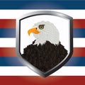 Usa eagle badge. Vector illustration decorative background design