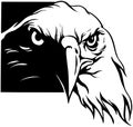 USA Eagle Cartoon Vector Clipart