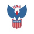 USA eagle Shield. Birds of prey in olors of American flag. Falcon