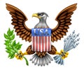 USA Eagle Shield Design