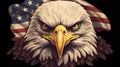 USA Flag with American Eagle Royalty Free Stock Photo