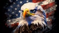 USA Flag with American Eagle Royalty Free Stock Photo