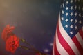 USA flag for honour of veterans or memorial day with two red carnation flowers. Glory to USA heroes of war concept on blue dark