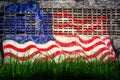 USA flag on old brick wall Royalty Free Stock Photo