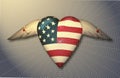 USA Flag winged heart pinned to surface
