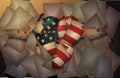 USA flag winged heart