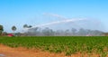 USA, FLORIDA - NOVEMBER 30, 2011: a fire truck spraying water on a field of corn, Florida Royalty Free Stock Photo