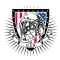 Usa ice hockey helmet shield Royalty Free Stock Photo