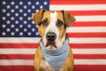 USA independence day concept, with dog