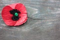 Red remembrance poppy made from fabric on dark vintage distressed wooden background, with copy space./ USA Memorial Day concept Royalty Free Stock Photo