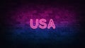 USA neon sign. purple and blue glow. neon text. Brick wall lit by neon lamps. Night lighting on the wall. 3d illustration. Trendy Royalty Free Stock Photo