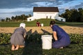 USA - Ohio - Amish Royalty Free Stock Photo