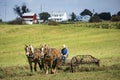 USA - Ohio - Amish Royalty Free Stock Photo