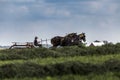 USA - Ohio - Amish Royalty Free Stock Photo