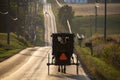 USA - Ohio - Amish Royalty Free Stock Photo