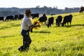 USA - Ohio - Amish