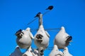 USA, Ohio - April 26, 2018: Nests for birds. Lorain Harbor, Ohio, USA