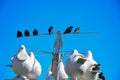 USA, Ohio - April 26, 2018: Nests for birds. Lorain Harbor, Ohio, USA