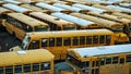 USA parking vintage yellow school buses