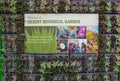 USA, PHENIX, ARIZONA- NOVEMBER 17, 2019: A group of succulent plants in the Phoenix Botanical Garden, Arizona, USA