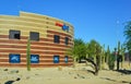 USA, PHENIX, ARIZONA- NOVEMBER 17, 2019: Large cacti Carnegiea gigantea near the store, landscaping, Phoenix Arizona