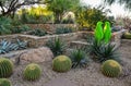 USA, PHENIX, ARIZONA- NOVEMBER 17, 2019: multi-colored plastic animal figures among cacti of different species in the botanical Royalty Free Stock Photo