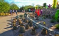 USA, PHENIX, ARIZONA- NOVEMBER 17, 2019: multi-colored plastic animal figures among cacti of different species in the botanical Royalty Free Stock Photo