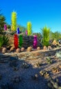 USA, PHENIX, ARIZONA- NOVEMBER 17, 2019: multi-colored plastic animal figures among cacti of different species in the botanical Royalty Free Stock Photo