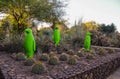 USA, PHENIX, ARIZONA- NOVEMBER 17, 2019: multi-colored plastic animal figures among cacti of different species in the botanical Royalty Free Stock Photo