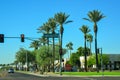 USA, PHENIX, ARIZONA- NOVEMBER 17, 2019: Traffic Lights, Large tall palm trees near a road in Phoenix, Arizona