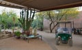 USA, PHOENIX, ARIZONA- NOVEMBER 17, 2019: General view of the entrance to the Phoenix Botanical Garden, Arizona, USA