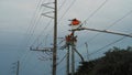 Electrical utility workers on crane insulating cables for repair