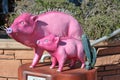 Sculptures of pink pigs on the central street of the city