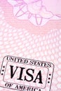 USA united states visa stamp passport page, copy space, vertical Royalty Free Stock Photo