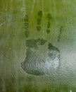 Green Hand Print in Paint Royalty Free Stock Photo