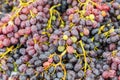 Fresh picked red grapes for sale at a farmers market