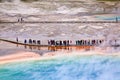 USA - Yellowstone NP - Grand Prismatic pool