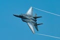 USAF F-15C 81-0022 making a high-speed pass at the NAS Oceana airshow Royalty Free Stock Photo