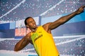 Usain Bolt after the race