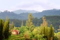 Usambara Mountains