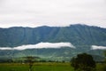 Usambara Mountains Tanga Tanzania Royalty Free Stock Photo