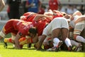 USAP Perpignan players scrumming Royalty Free Stock Photo