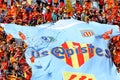 USAP Perpignan's supporters