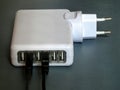 USB charger multiport with two cables