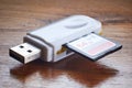 USB flash drive with adapter and SD memory Royalty Free Stock Photo