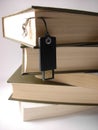 USB flash drive hanging in front of books. Royalty Free Stock Photo