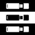 USB. flash drive. thumb drive. flash memory. usb drive design black and white Royalty Free Stock Photo